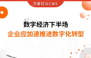 數(shù)字經(jīng)濟(jì)下半場，企業(yè)應(yīng)加速推進(jìn)數(shù)字化轉(zhuǎn)型