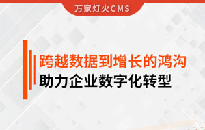 跨越數(shù)據(jù)到增長(zhǎng)的鴻溝，助力企業(yè)數(shù)字化轉(zhuǎn)型